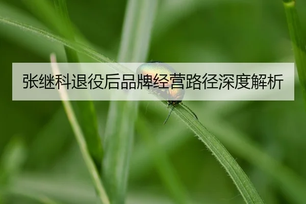 zhang-ji-ke-tui-yi-hou-pin-pai-jing-ying-lu-jing-shen-du-jie-xi-2-132.jpg