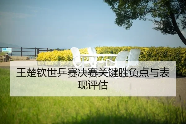 wang-chu-qin-shi-ping-sai-jue-sai-guan-jian-sheng-fu-dian-yu-biao-xian-ping-gu-2-409.jpg
